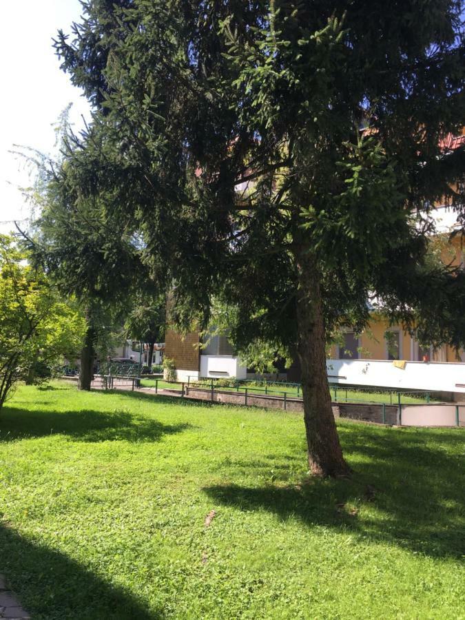 Il Contrabbasso Cremona Exterior photo